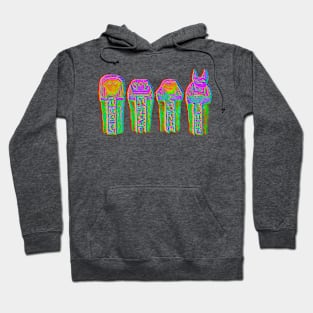 Egyptian gods and goddesses Hoodie